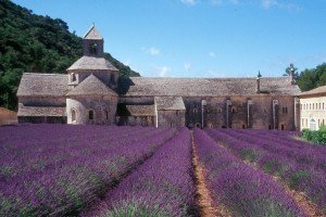 Provenza Verdon